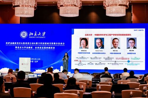 數(shù)字經(jīng)濟(jì)新引擎 2024拉薩金融商務(wù)區(qū)格?；ㄐ袆?dòng)招商引資洽談會(huì)啟航